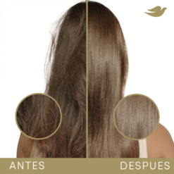 BOND REPAIR+PÉPTIDO SHAMPOO X 200 ML - Imagen 6
