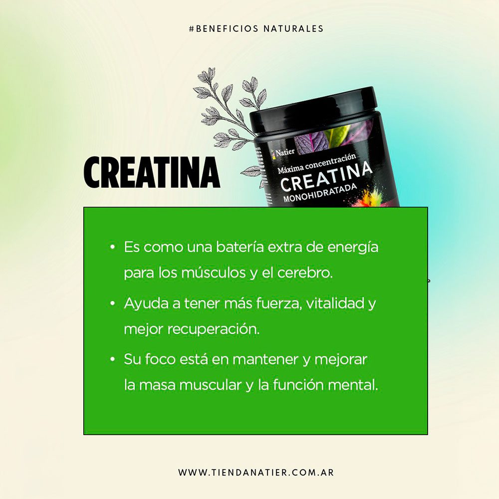 CREATINA MONOHIDRATADA X 300 G - Imagen 2