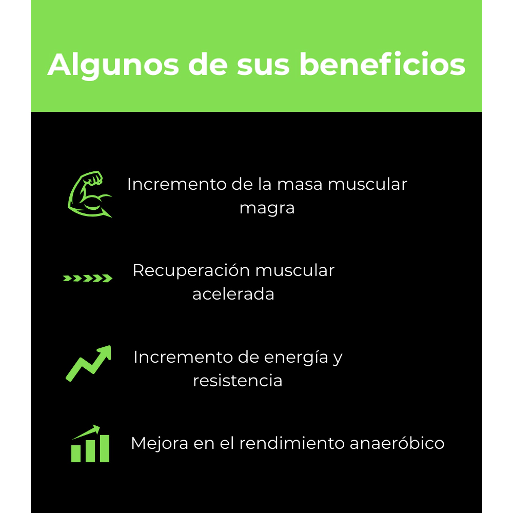 CREATINA MELENA DE LEÓN MATCHA FRASCO X 300 G - Imagen 4